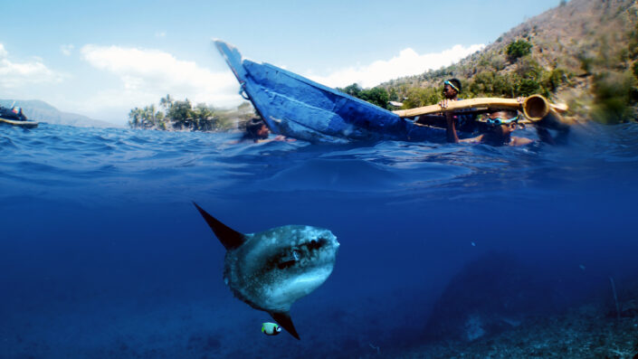 Mola with Kids