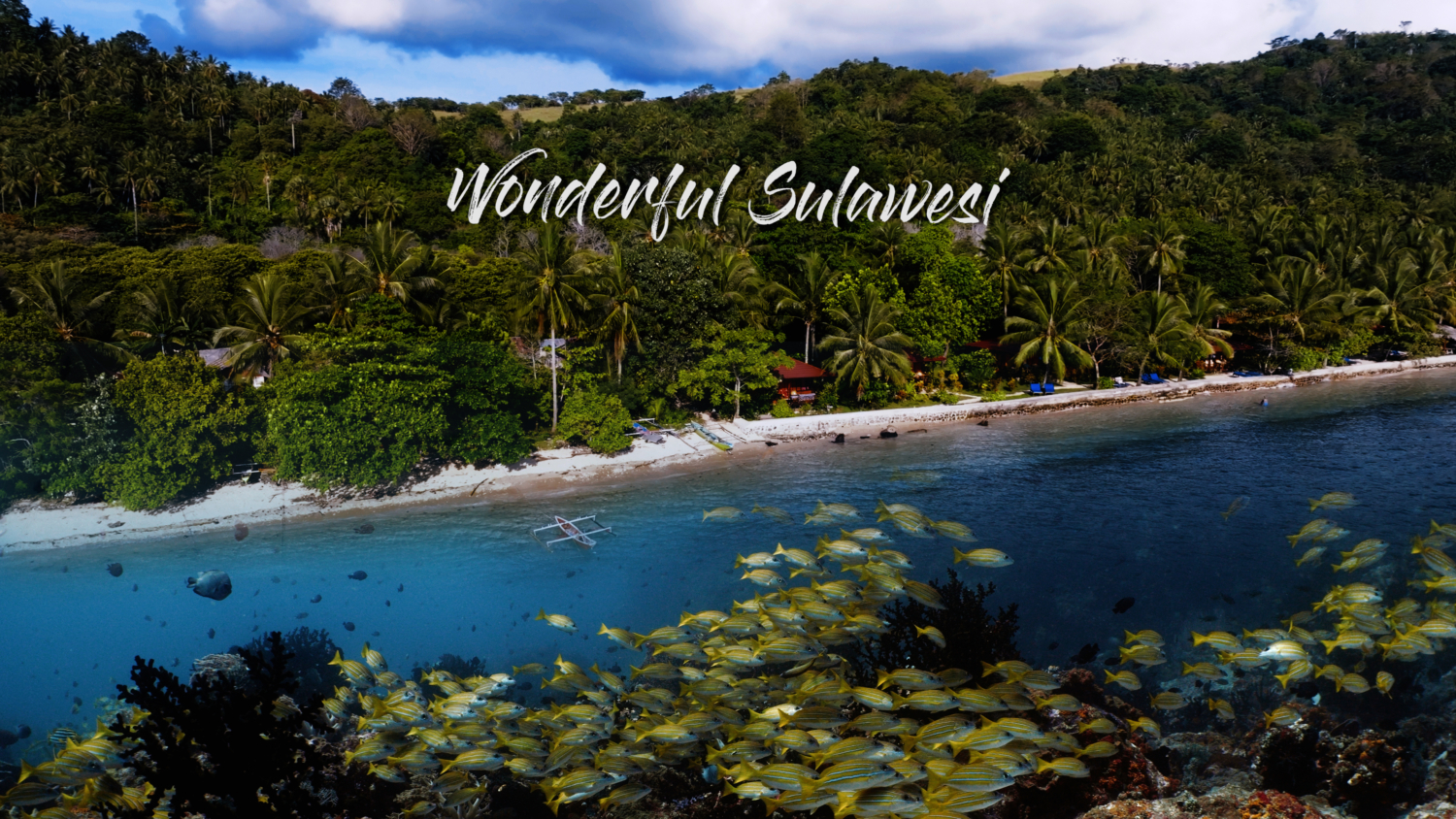 Wonderful Sulawesi in 4K